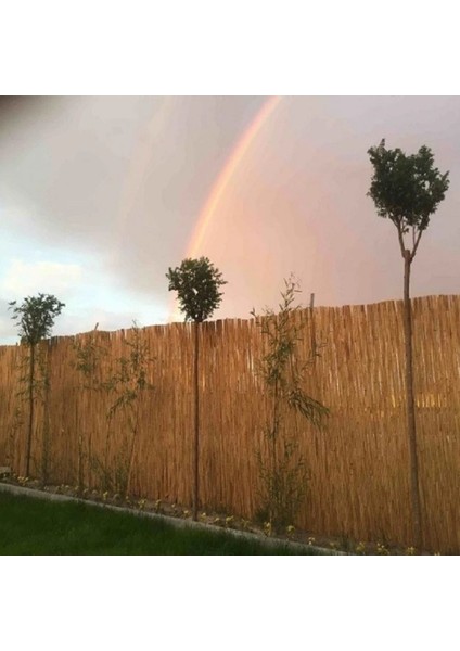 120 cm x 7 Metre Doğal Bambu Çit Hasır Kamış Bahçe Çiti Balkon Çiti Dekorasyon Gölgelik Çit
