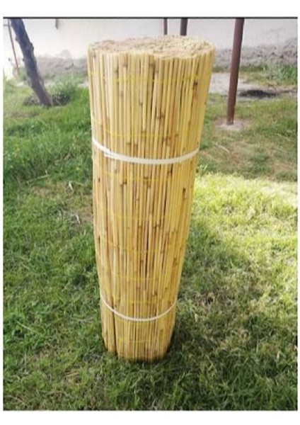 38 x 58 Bambu Kamış Hasır Bahçe Çiti Gölgelik Balkon Çiti 1 Metre x 6 Metre Plastik Bej Tr