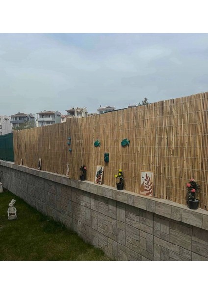 Haki renkli 100x6 m kamış hasır rulo, bahçe ve balkon dekoru için şık çit alternatifi