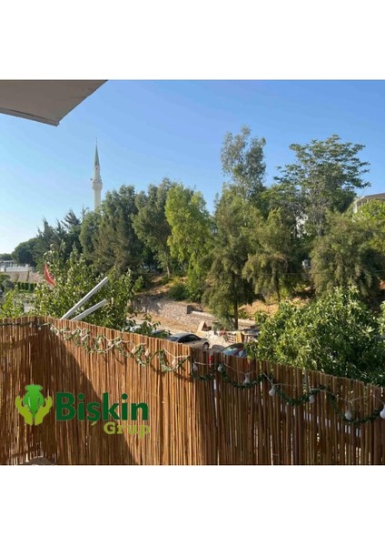 Bambu Doğal Kamış Hasır Çit 1 Metre x 1 Metre Balkon Çiti, Hasır Bambu Çit, Bahçe Çiti ve Gölgelik