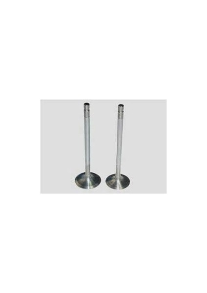 Subap Emme Egzoz Opel Vıvaro C-Zafıra LIFE-GRANDLAND-BOXER-JUMPER-EXPERT-JUMPY-P508-P407-P3008- P5008-C4-C5-DS4-DS5-DS7-MONDEO-KUGA-C-MAX 2.0-2.2 Bluehdı Freelander 2.2 Hdı 16V