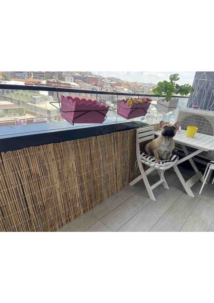 Turkuaz Kamış Hasır,bahçe Çiti,balkon Çiti,gölgelik 120 cm x 3 Metre 120 x 300 Hasır