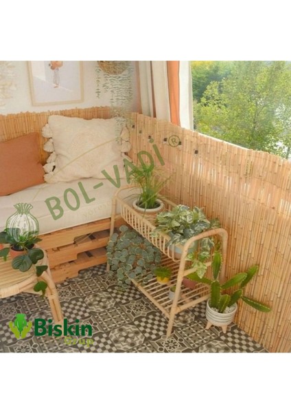 Bambu 1metre Yükseklik x 4 Metre Genişlik Bambu Kamış Hasır Çit Dekoratif Bahçe Balkon ve Duvar Çit