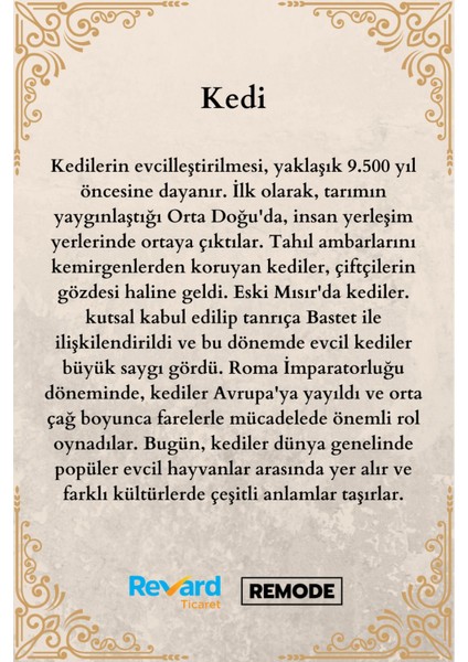 Sevimli Seramik Kedi Desenli Yuvarlak Çok Amaçlı Duvar Süsü 9X17 cm indirimleri