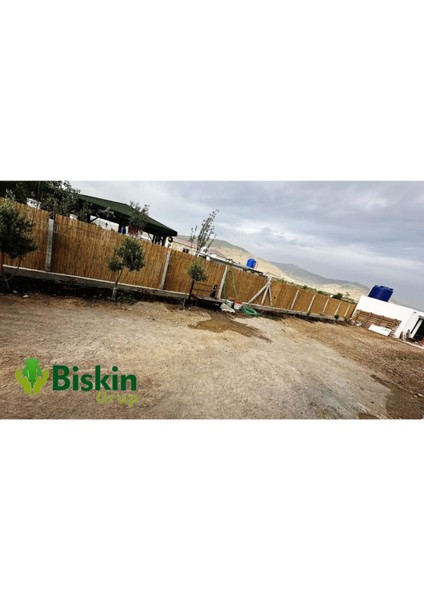 240cm yüksek, 250cm geniş doğal bambu bahçe ve balkon çiti kahverengi fırsatları