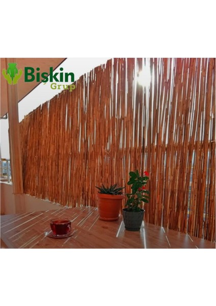 Doğal bambu kamış hasır çit, bahçe ve balkon dekoru, 170x300 cm, kahverengi modelleri