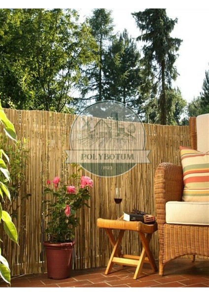 Doğal bambu kamış hasır bahçe ve balkon dekoratif çit 100x300, sarı renk modelleri