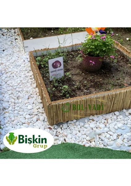 Doğal bambu kamış dekor çiti, bahçe ve balkon için 40x600 cm kahverengi
