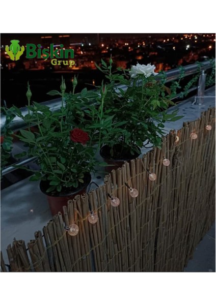 120x200 cm doğal bambu kamışlı dekoratif bahçe ve balkon çiti kahverengi fiyatları