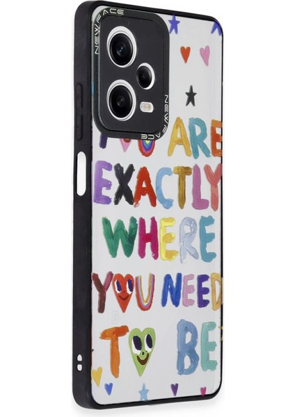 Xiaomi Redmi Note 12 Pro 5g Kılıf Mirror Desenli Kapak - Mirror - 10 Drstr