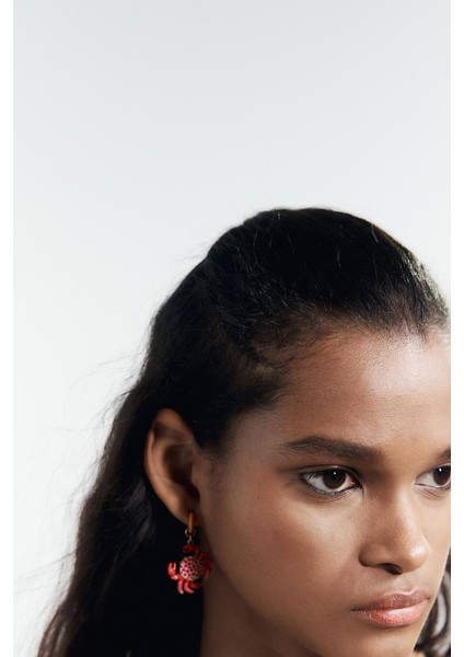 Çoklu Charmlı Küpe Seti fiyatları