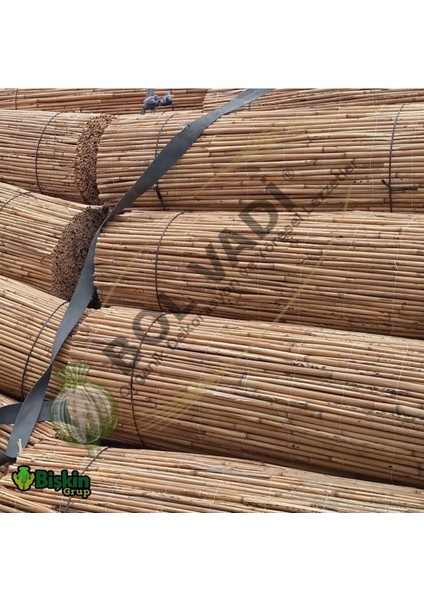 Doğal bambu kamış hasır çit, bahçe ve balkon dekoru, 230cm yükseklik, 500cm genişlik