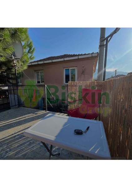 160x300cm doğal bambu kamış hasır çit, bahçe ve balkon dekoru