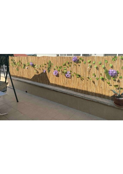 70 cm x 5 Metre Kamış Hasır Bahçe Çiti Balkon Çiti Gölgelik ve Dekorasyon