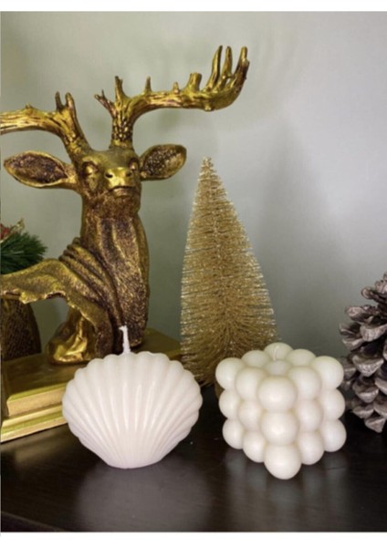 Iki Parça Deniz Kabuklu ve Baloncuklu Dekoratif Mum Seti, Şık ve Sade Tasarım