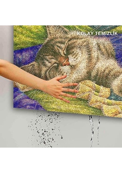 Tasarımlı Dekoratif Kapı Önü Paspas, Dış Mekan/ev Içi/banyo/mutfak/yatak Odası/giriş Paspasları (Pastel Boyama Cat, 45X70)