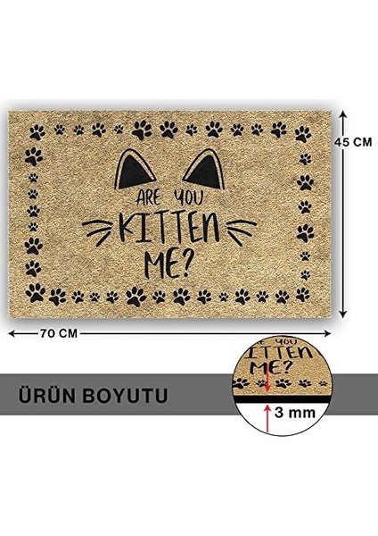 Tasarımlı Dekoratif Kapı Önü Paspas, Dış Mekan/ ev Içi/ banyo/ mutfak/ yatak Odası/ giriş Paspasları (Kitten Me, 45X70)