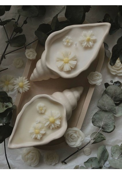 Beyaz Deniz Kabuklu Mumluk, Deniz Teması Dekorasyonu, Şık ve Zarif Tasarım fiyatları