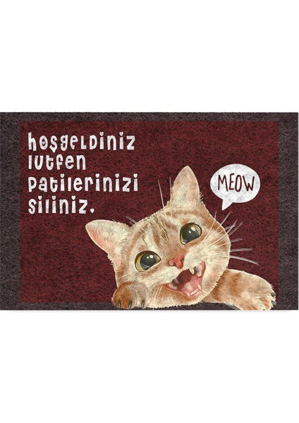 Tasarımlı Dekoratif Kapı Önü Paspas, Dış Mekan/ev Içi/banyo/mutfak/yatak Odası/giriş Paspasları (Patilerinizi Siliniz, 45X70)