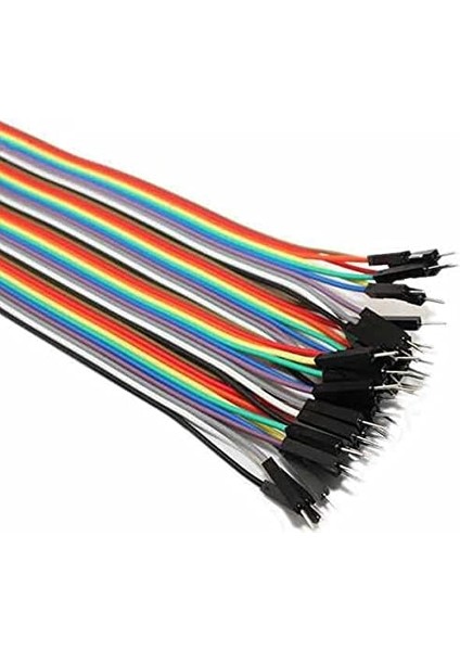 40 Pin Ayrılabilen Erkek-Erkek M-M Jumper KABLO-200 mm