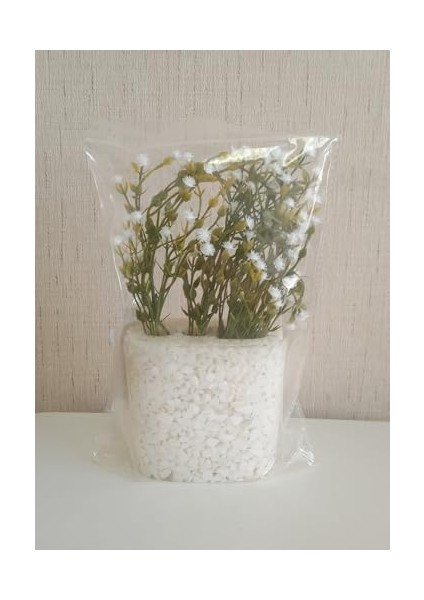 Dahil,vazo Dahil,vazoda Çiçek,beyaz Yapay Çiçek,vazo Dekoratif Deniz Taşı El Yapımı 10X5X14CM