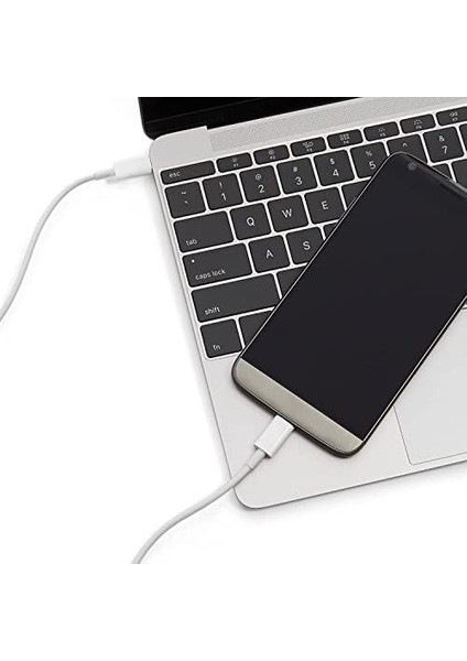 Pd Kablo 30 cm Şarj ve Data Kablosu 20W 3.1 Amper Hızlı Şarj Kablosu USB C Android Auto