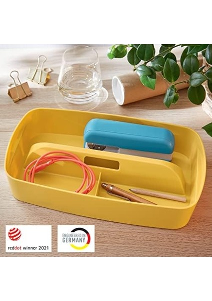 Mybox® Kulplu Geniş Düzenleme Aparatı