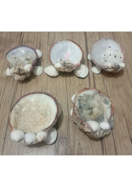 Deniz Kabuğu Tasarımlı 5'li Mumluk Seti, Şıklık ve Doğallık Sunar