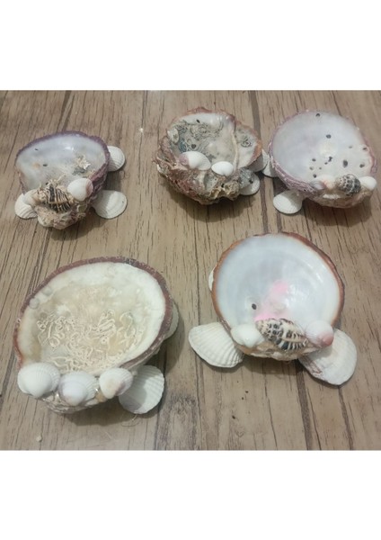 Deniz Kabuğu Tasarımlı 5'li Mumluk Seti, Şıklık ve Doğallık Sunar fiyatları