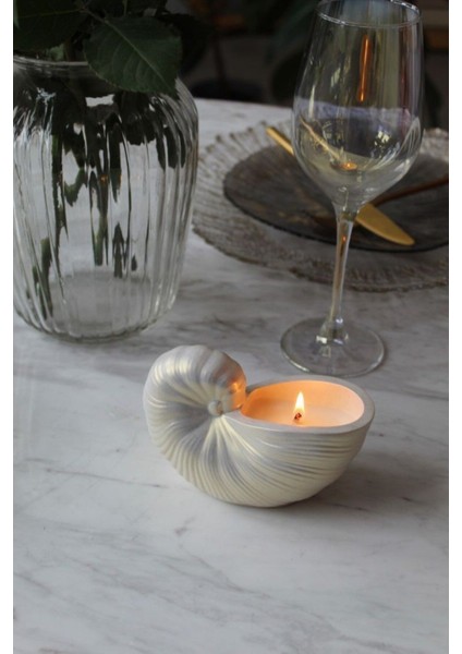 Beyaz Midye Kabuğu Dekoratif Obje ve Yeni Yıl Mumları, Şıklık ve Zarafet Sağlar