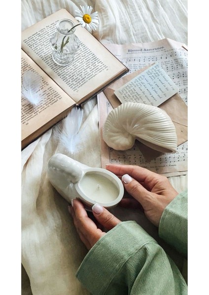 Beyaz Midye Kabuğu Dekoratif Obje ve Yeni Yıl Mumları, Şıklık ve Zarafet Sağlar fiyatları