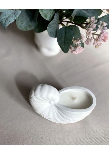 Beyaz Midye Kabuğu Dekoratif Obje ve Yeni Yıl Mumları, Şıklık ve Zarafet Sağlar modelleri