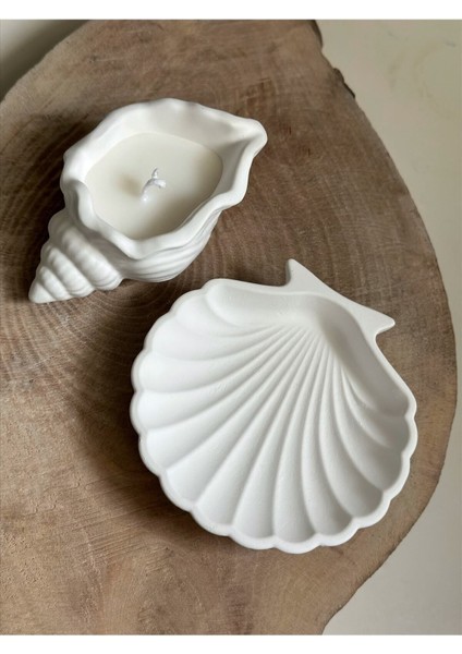 Beyaz Deniz Kabuğu ve Istiridye Seti, Dekoratif Tabak ve Takı Organizeri