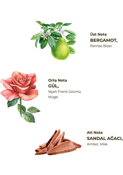 Kolonya Pet Şişe Sprey 150 ml Manolya Çiçeği fiyatları