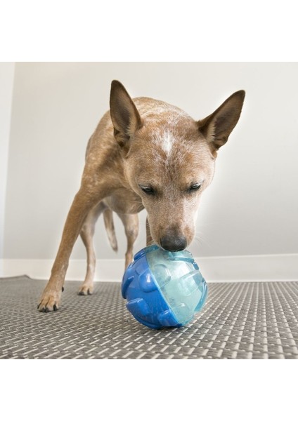 Ödüllü Köpek Oyuncağı Rewards L 17cm