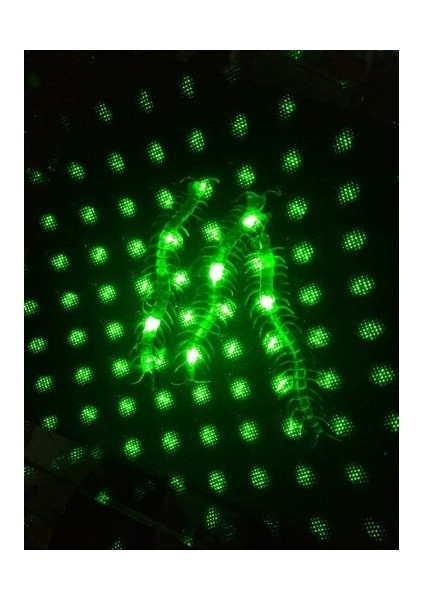 Şaka Yılan ve Kırkayak Karışık 36 Adet modelleri