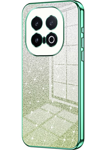 Vivo Iqoo 13 5g Kılıf Galvanik Degrade Parıltılı Tpu Telefon Kılıfı-Yeşil (Yurt Dışından)