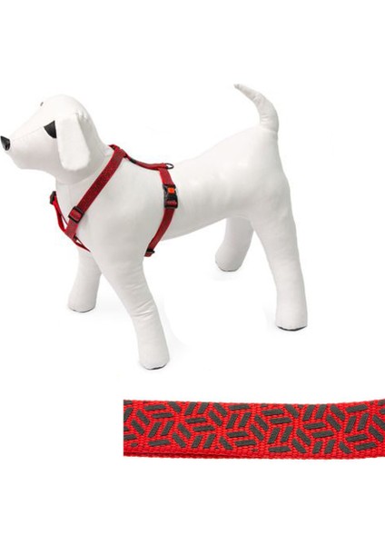 Karlıe Art Sp.plus Ayarl. Göğ.tasma 35-50cm 15mm