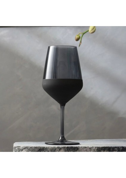 4'lü Ayaklı Bardak - Siyah - 490 ml indirimleri
