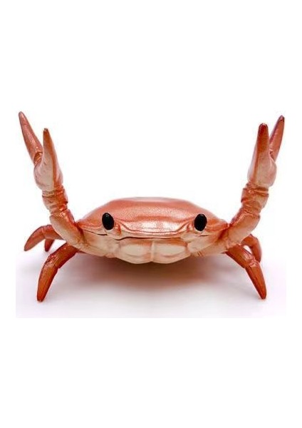 Halter Yengeç Kalem Tutucu Depolama Süsü Modeli (Yurt Dışından)