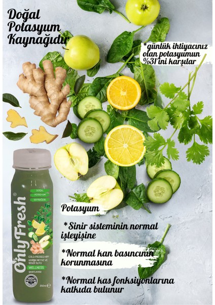 Yeşil Elma Salatalık Ispanak Maydanoz Limon Zencefil Taze %100 Karışık Meyve ve Sebze Suyu