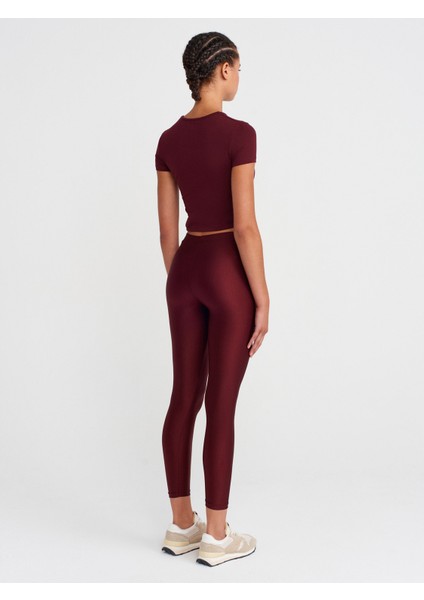 4001 Naylon Tayt-Bordo fiyatları