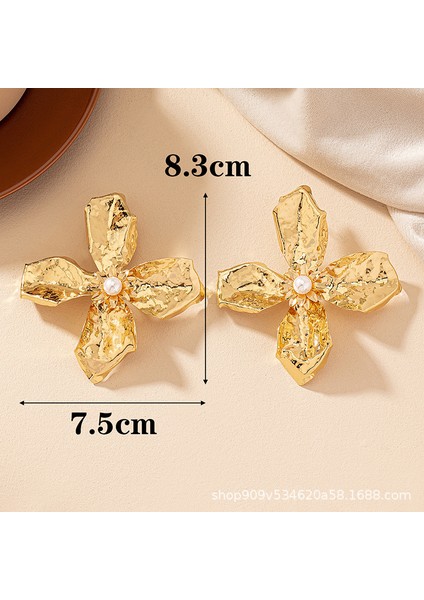 Kişiselleştirilmiş Moda Küpeler Kadın Avrupa ve Amerikan Kişiliği Tatlı ve Sevimli Trend Küpeler (Yurt Dışından) fiyatları