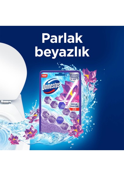 Tuvalet Bloğu Lotus Çiçeği 100 G