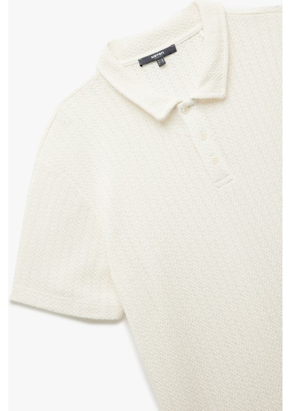 Regular Fit Kısa Kollu Dokulu Polo Yaka Tişört modelleri