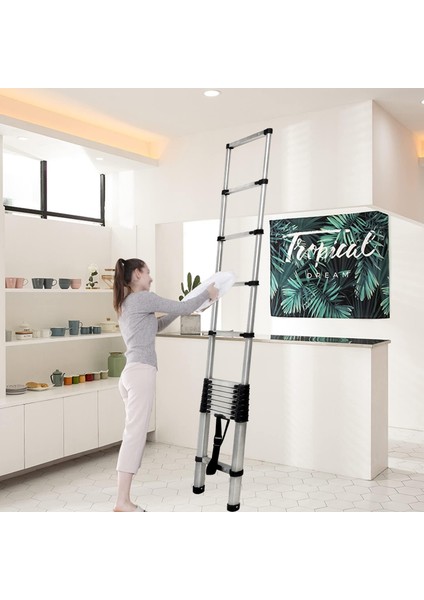 - Paslanmaz Çelik Teleskopik Merdiven 310 cm