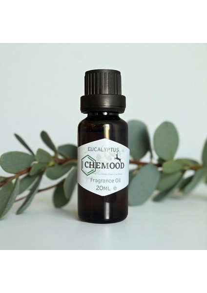 Okaliptus Mum Esansı 20ML