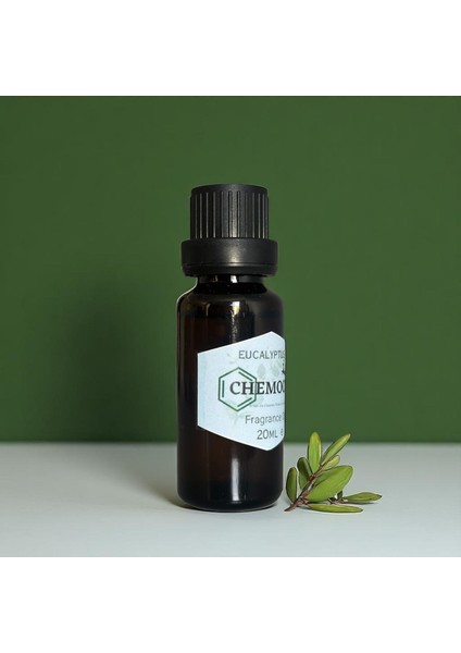Okaliptus Mum Esansı 20ML