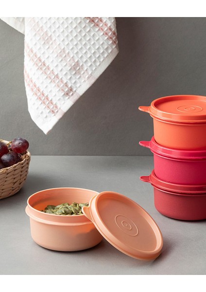 Home Lock Me Mini Plastik 4'lü Saklama Kabı 250 ml Kırmızı