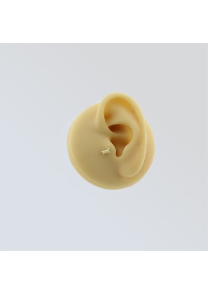 14 Ayar Altın Köpek Motifli Minimal Tragus Piercing